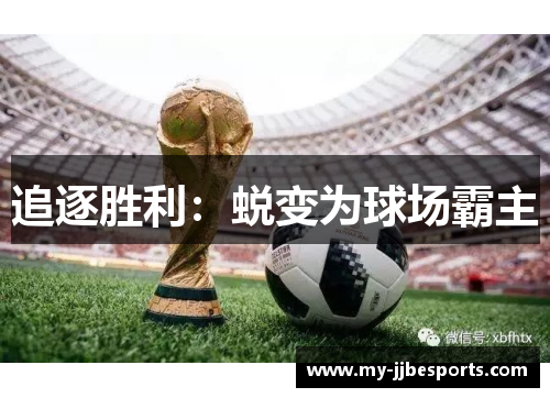 追逐胜利:蜕变为球场霸主 追逐胜利:蜕变为球场霸主