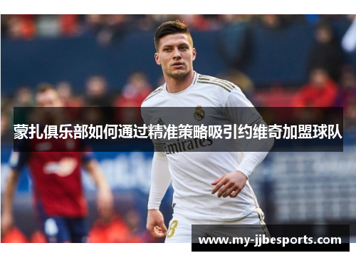 蒙扎俱乐部如何通过精准策略吸引约维奇加盟球队 蒙扎俱乐部如何通过精准策略吸引约维奇加盟球队