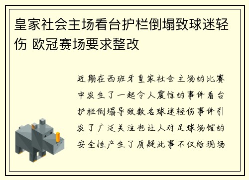 皇家社会主场看台护栏倒塌致球迷轻伤 欧冠赛场要求整改
